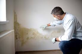 Best Mold Removal for HVAC Installations  in Malvern, IA